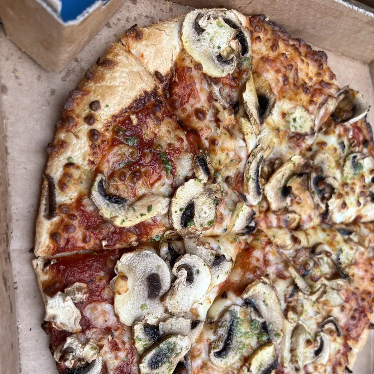 Funghi Pizza