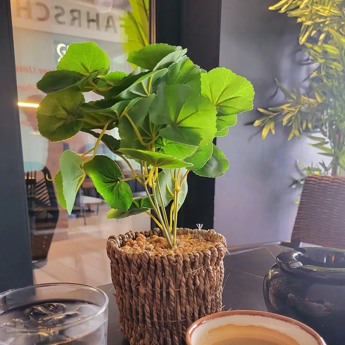 Kafe