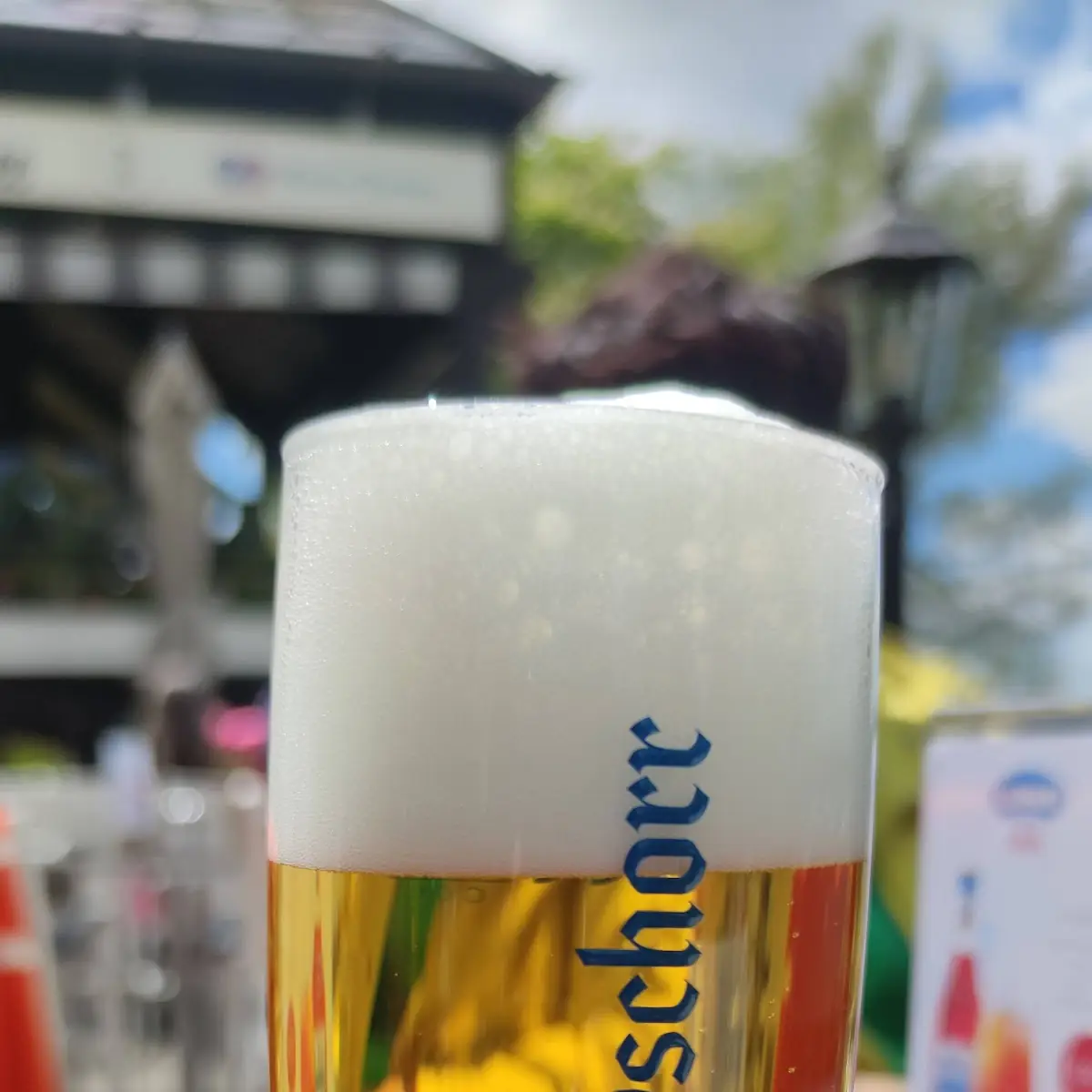 Bier