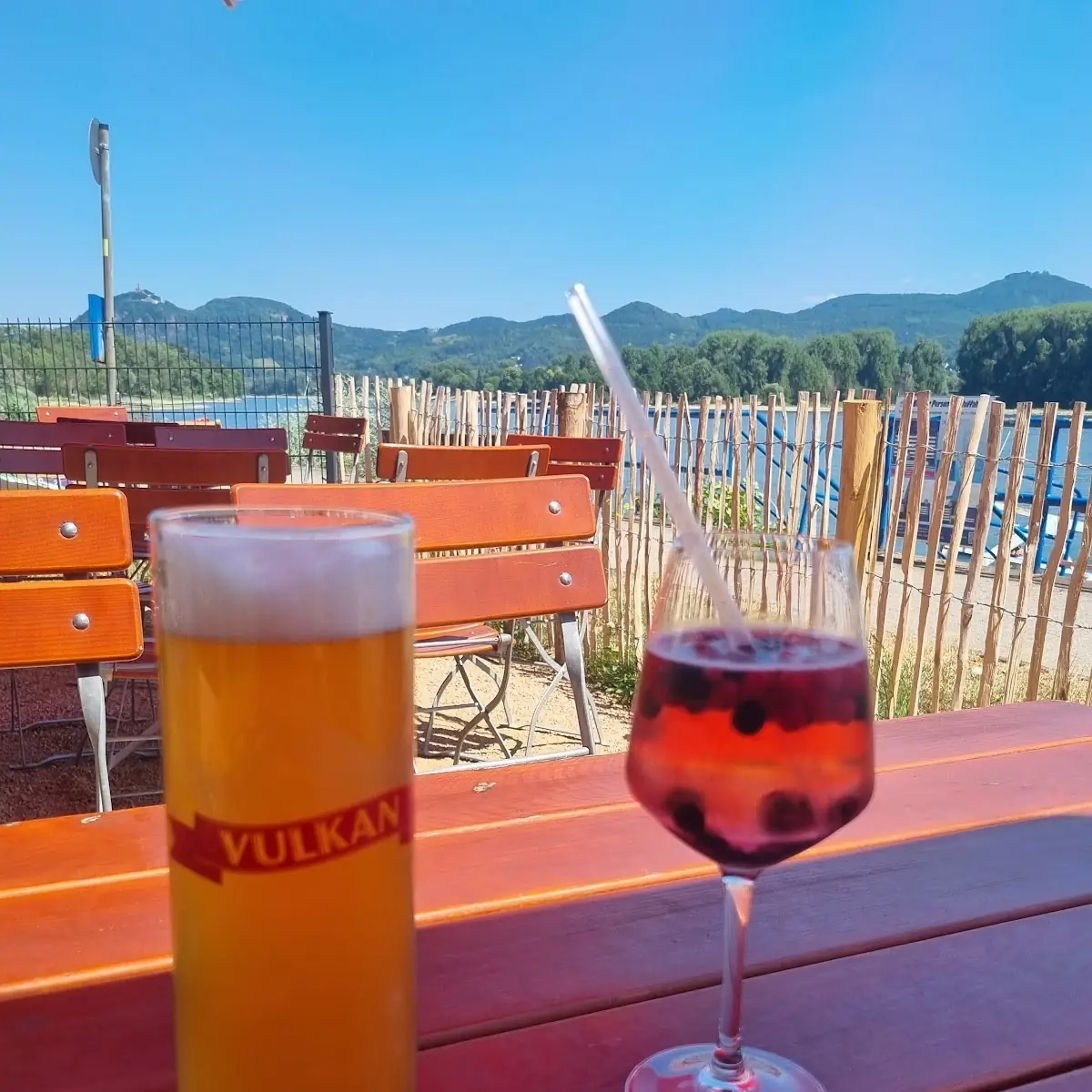 Bier