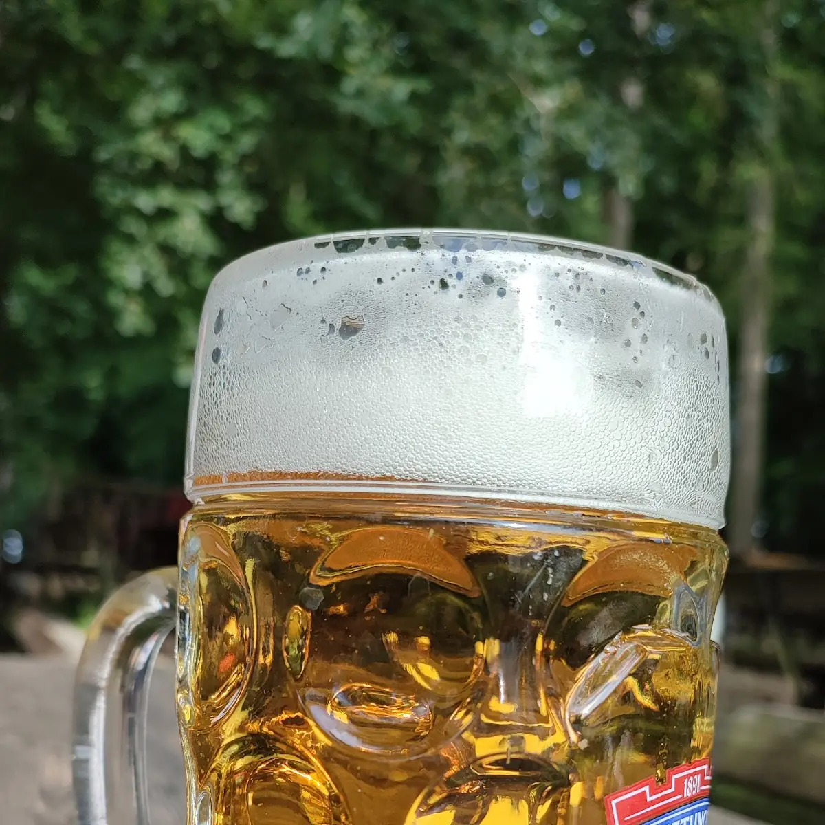 Bier