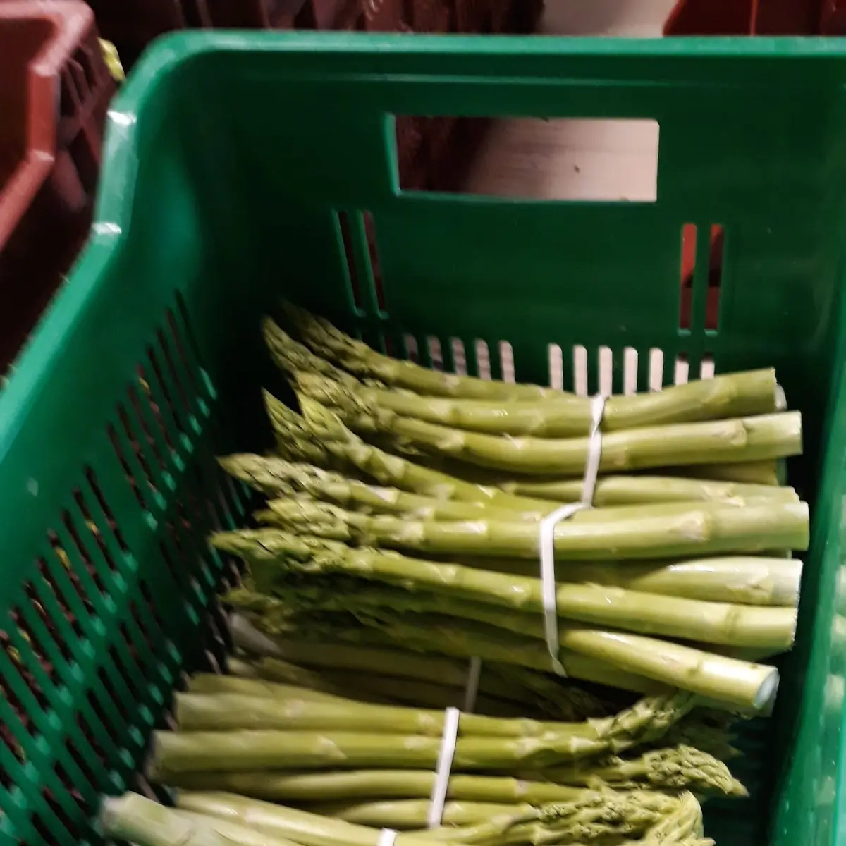 Grüner Spargel