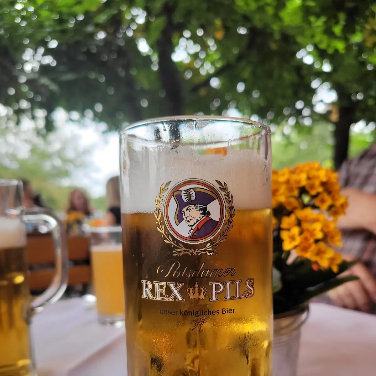 Bier