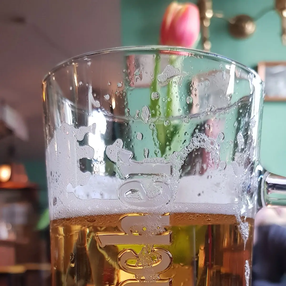 Bier