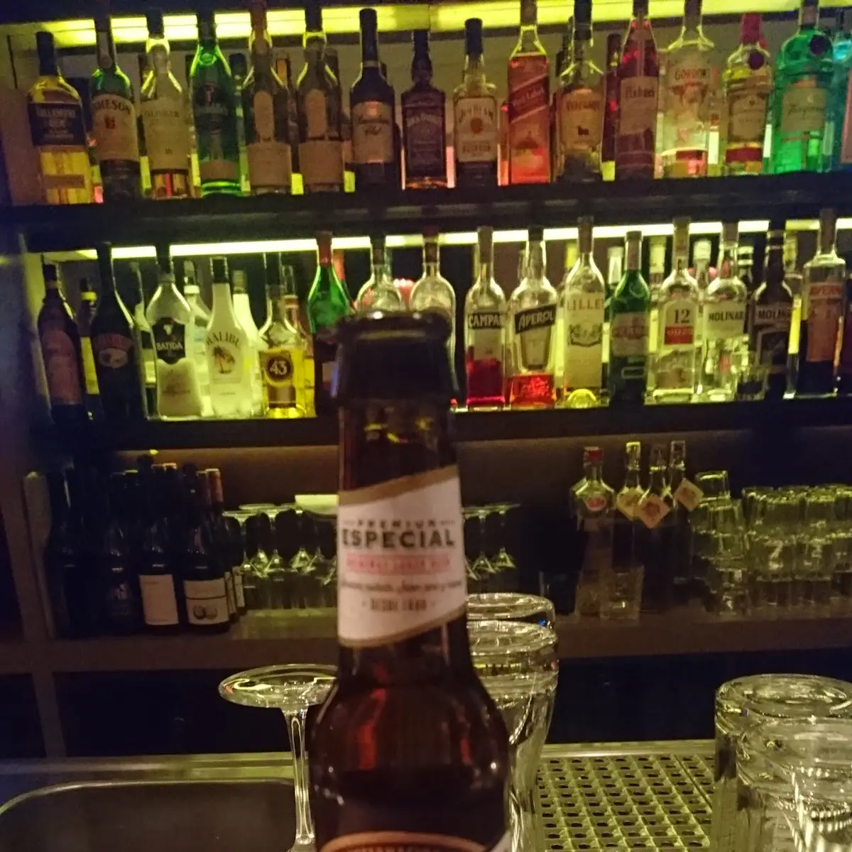 Bier