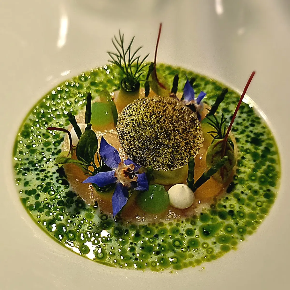 Hamachi, Le Temple - Christiane Detemple-Schäfer und Oliver Schäfer