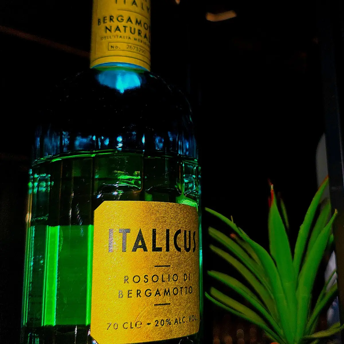 Italicus