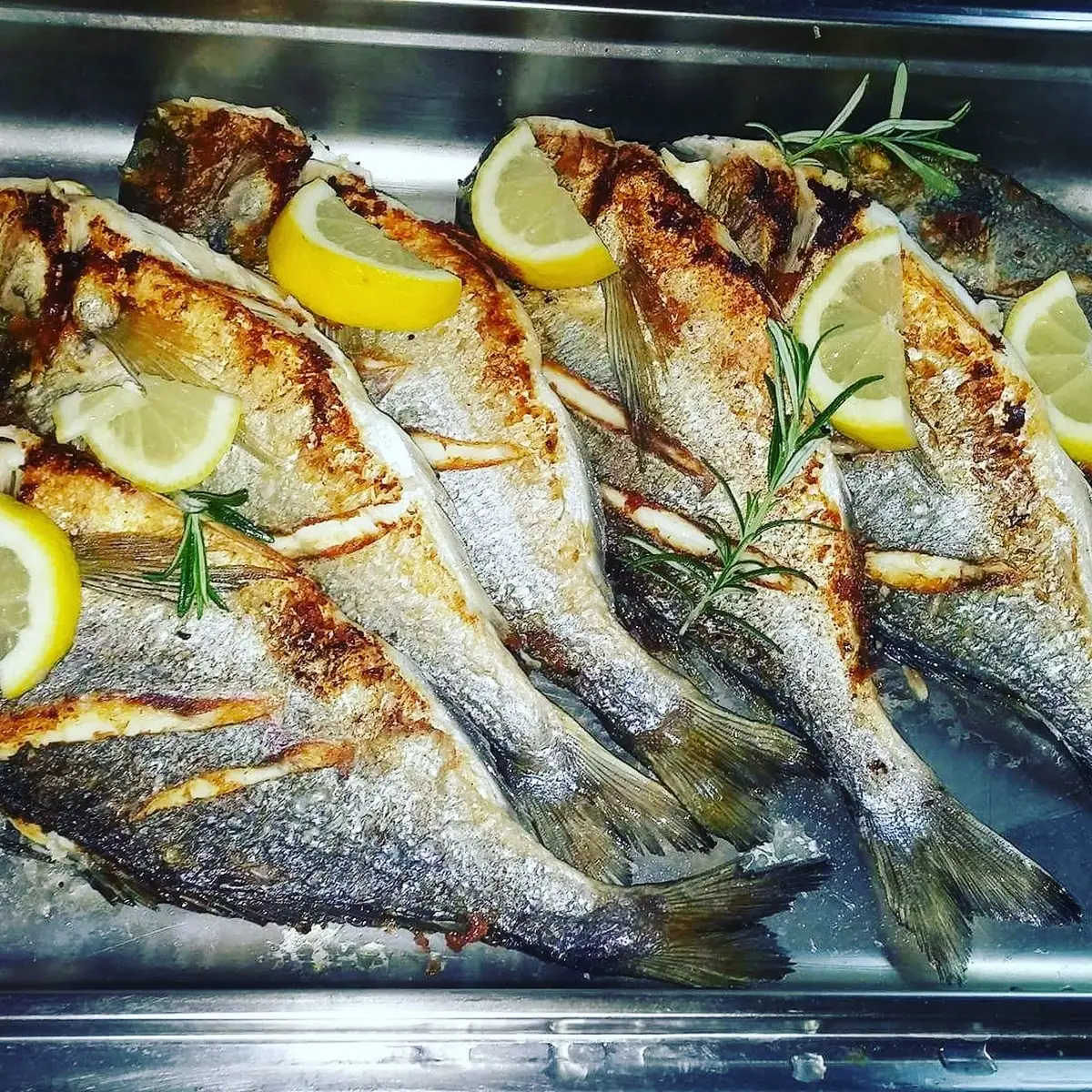Dorade