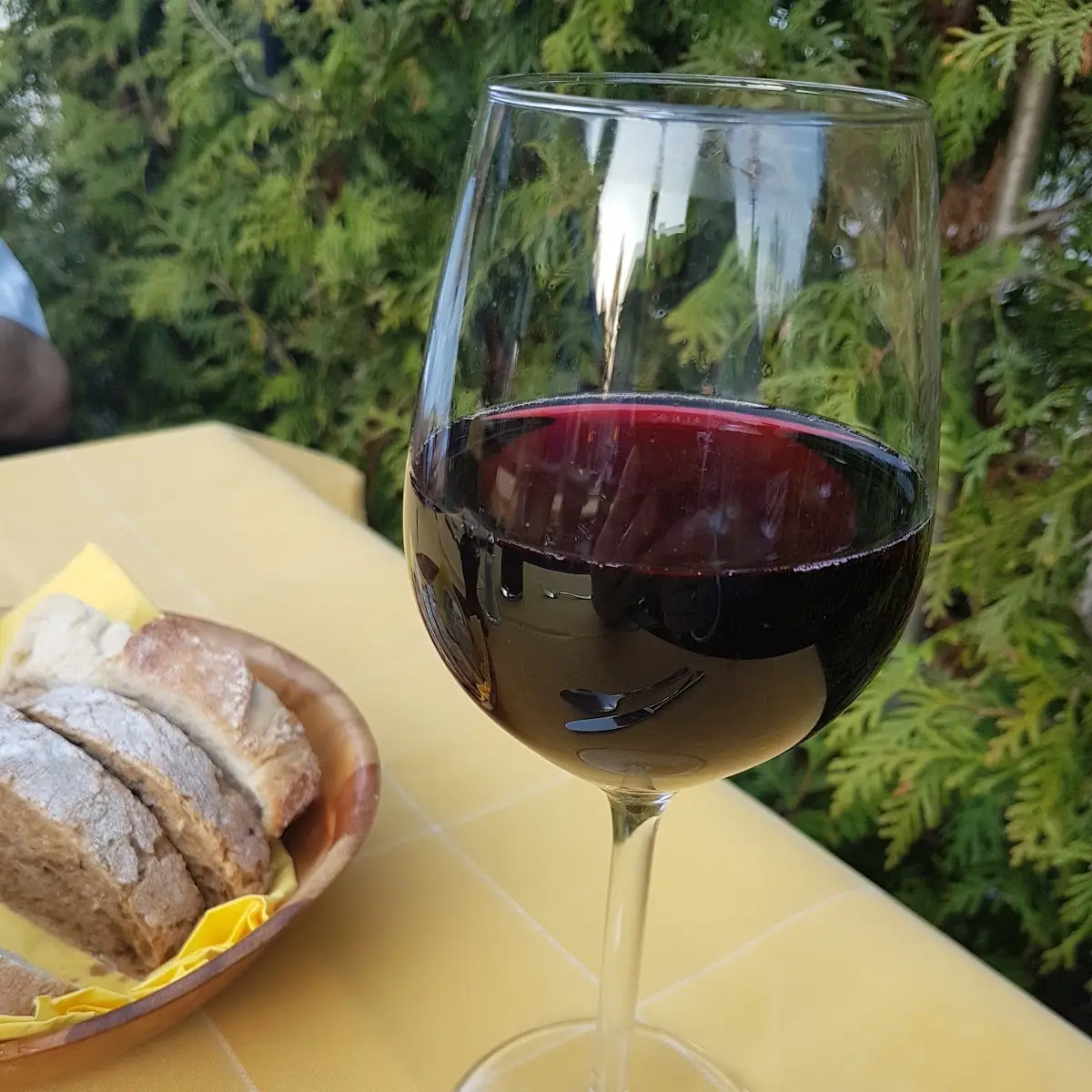 Lambrusco