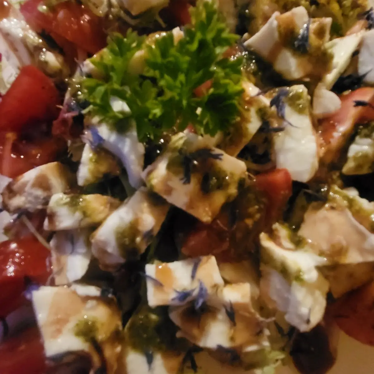 Tomate Mozzarella