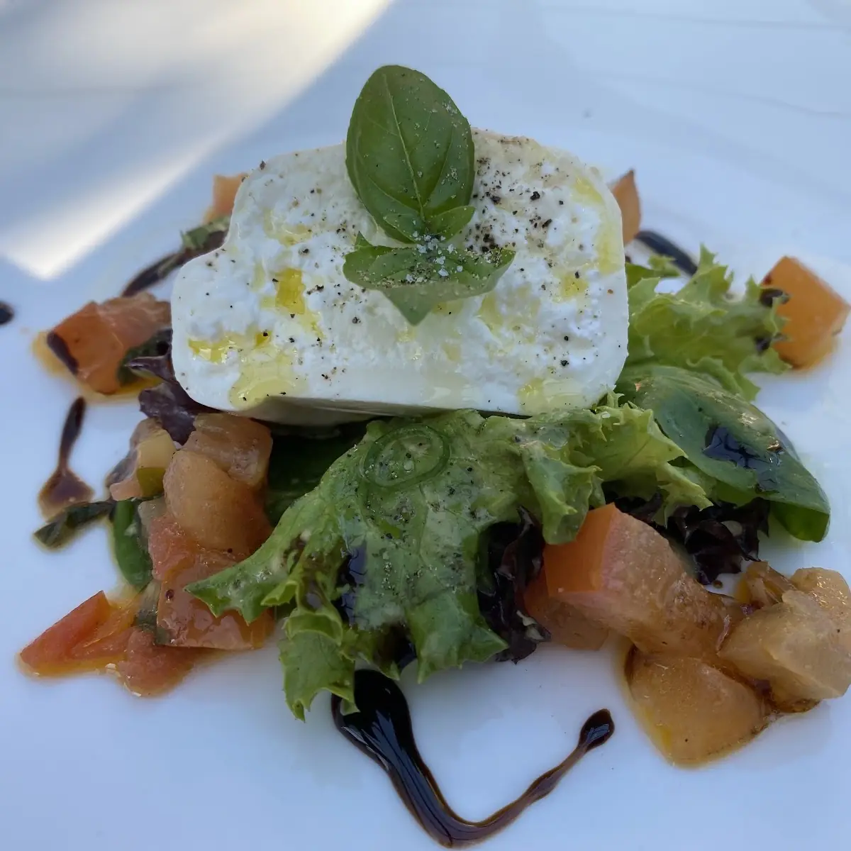 Büffelmozarella Mit Tomate