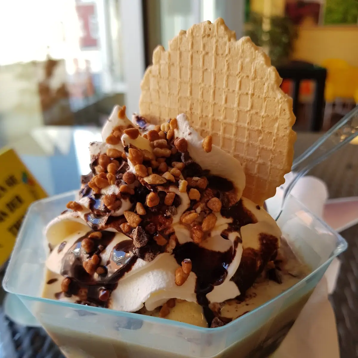 Highlights, Eddy's Eis-Oase