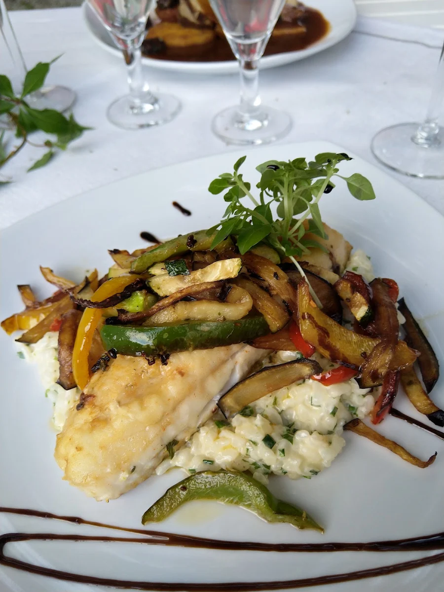 Zanderfilet Auf Risotto