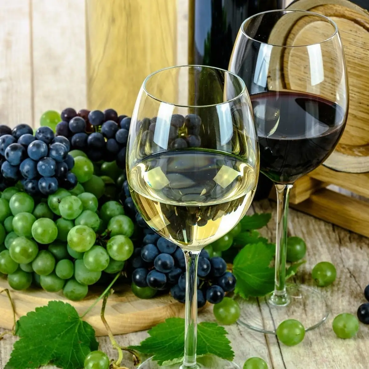 Highlights, Der Weinboden