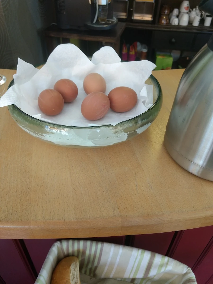 Eggs Oder Ei