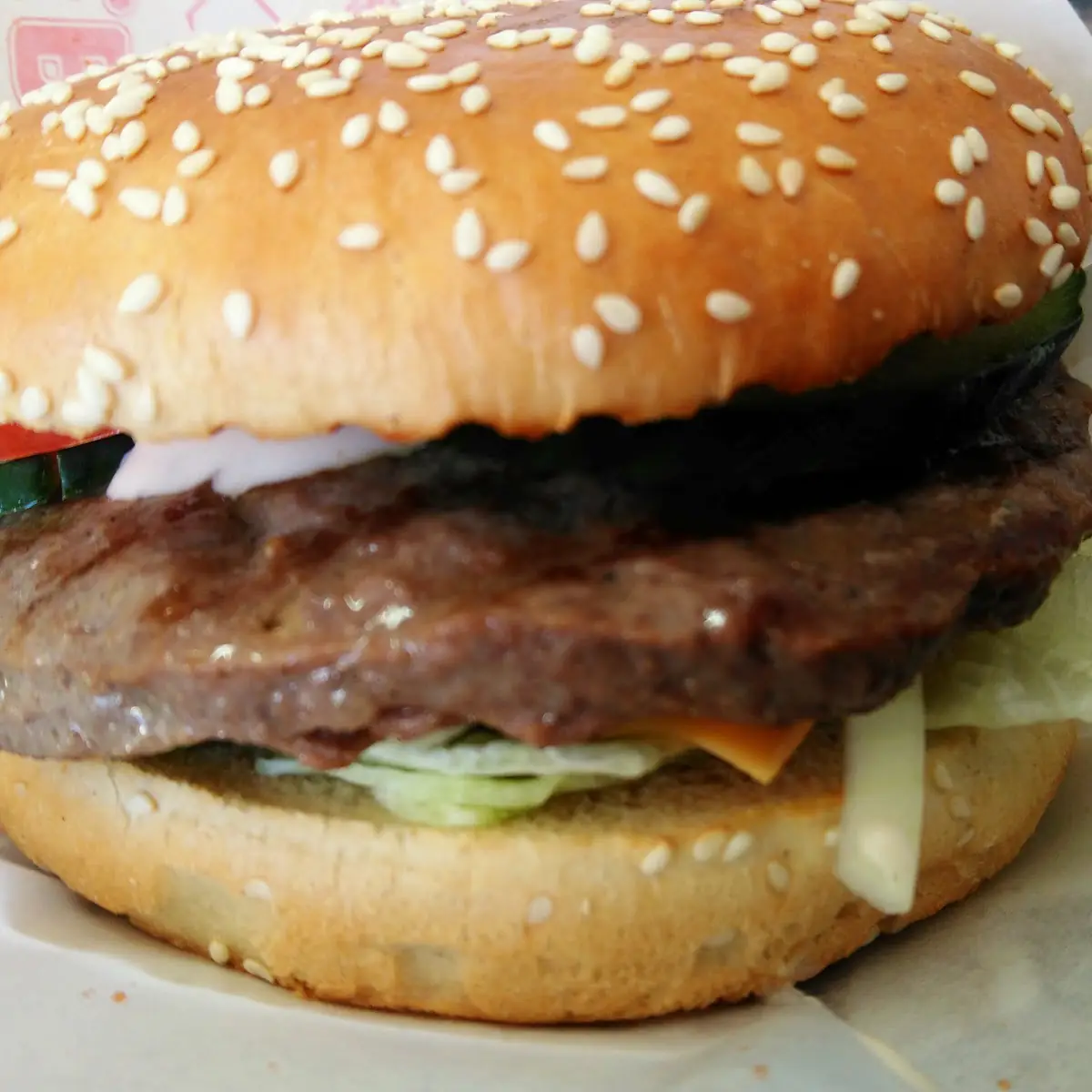 Hamburger