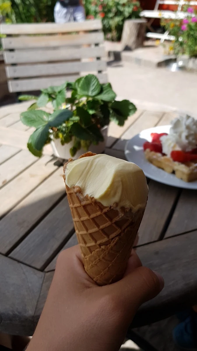 Mango Eis