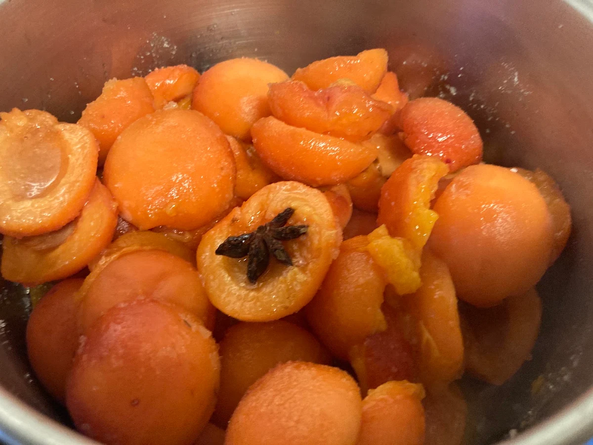 Apricot