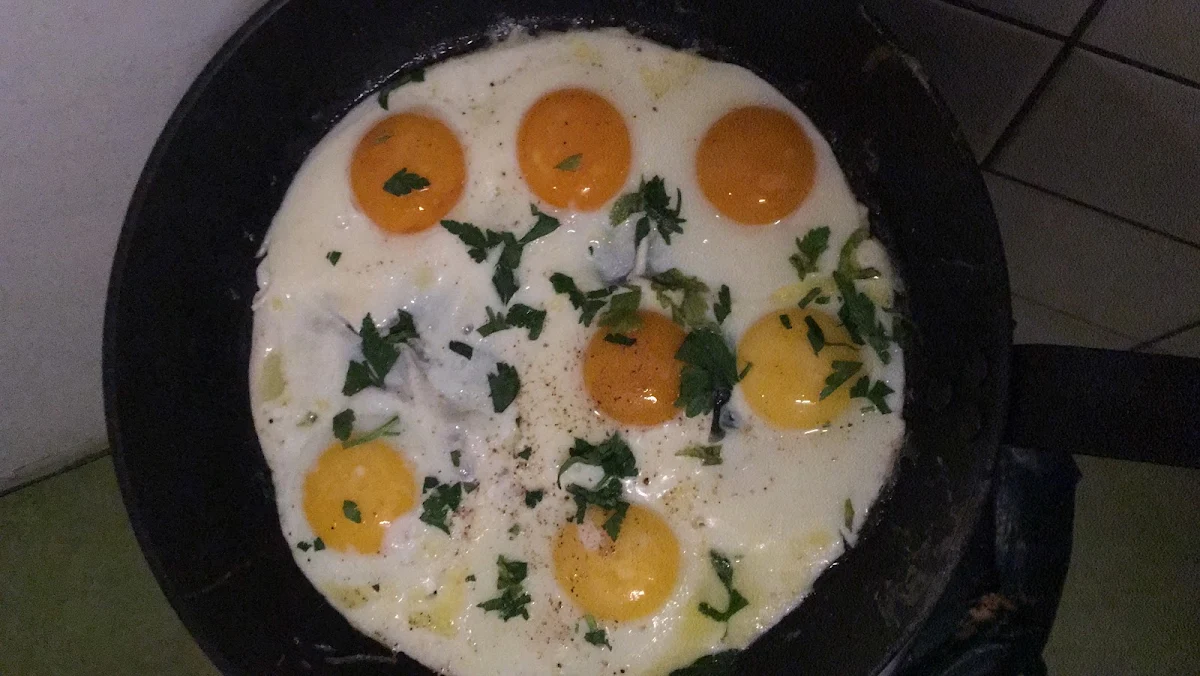 Fried Egg
