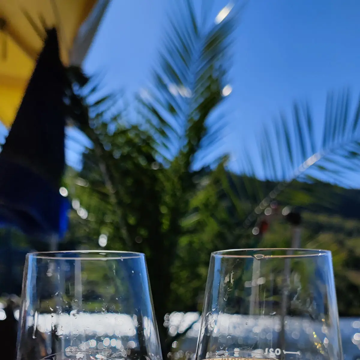 Wine