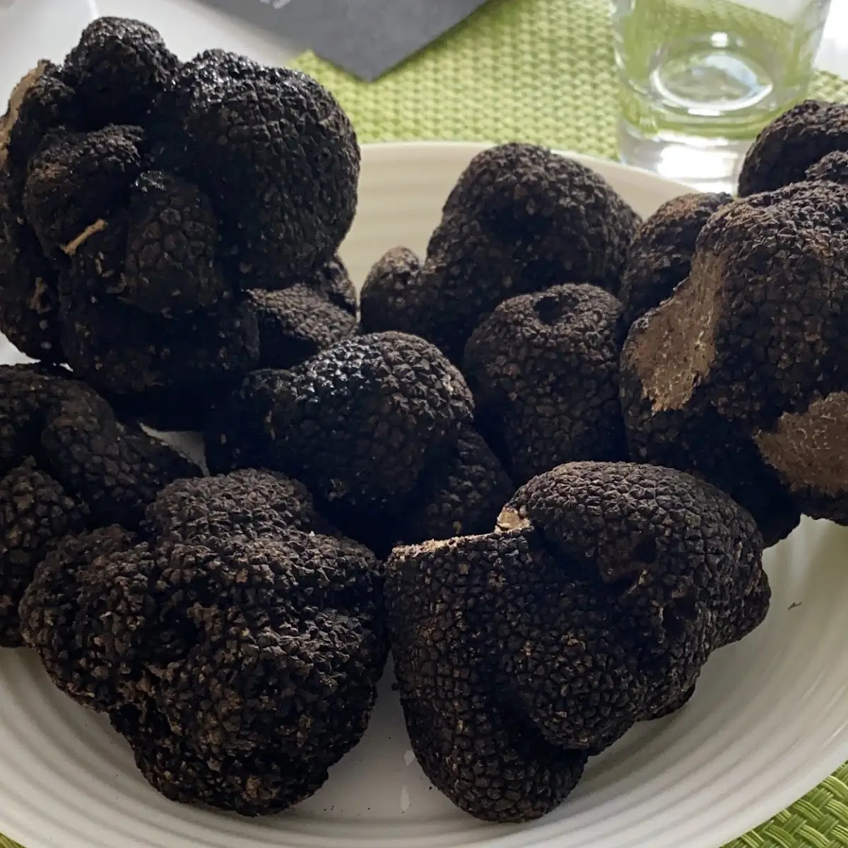 Truffle