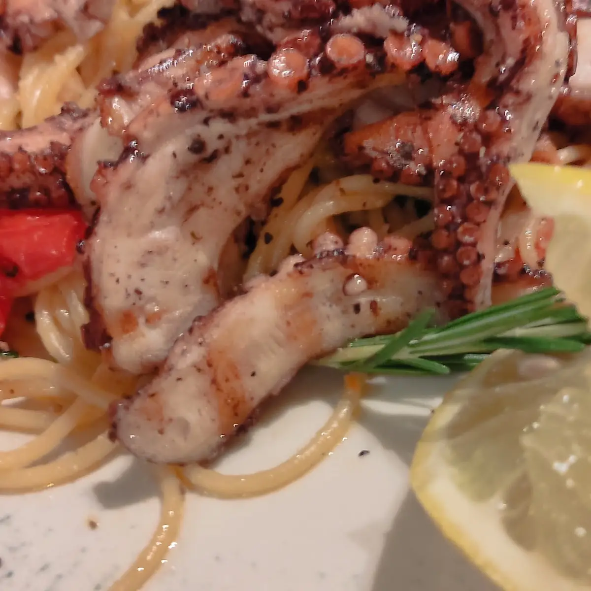 Oktopus