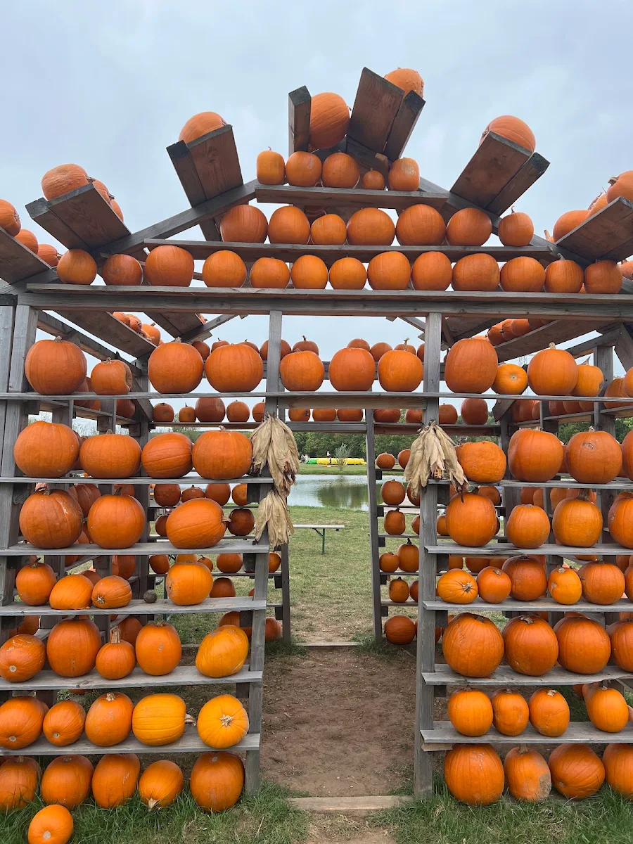 Pumpkin