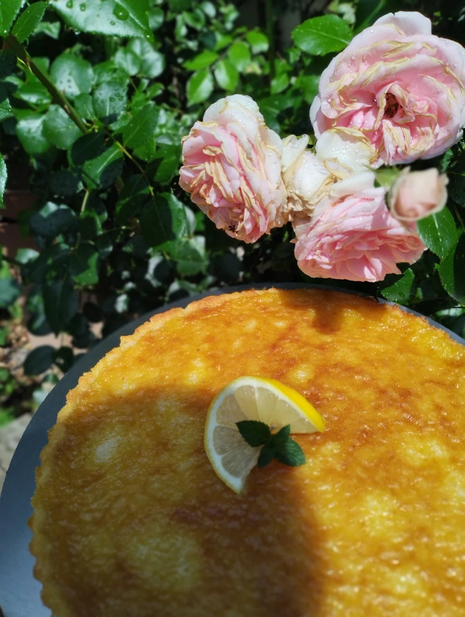 Highlights, Cafe Madame Anneliese