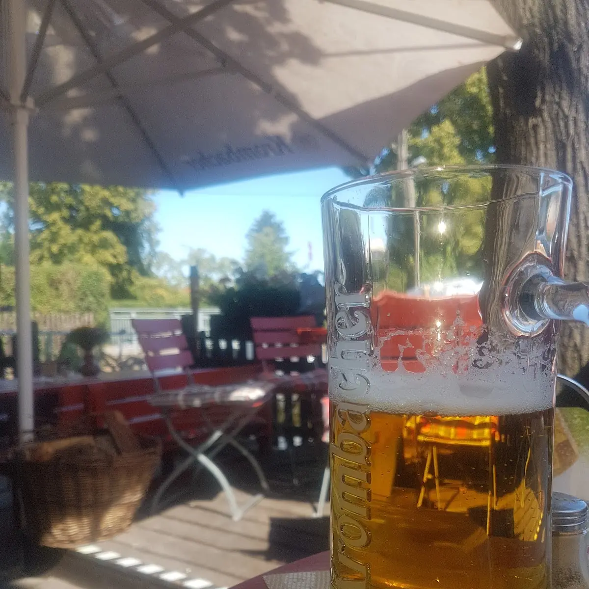 Cider