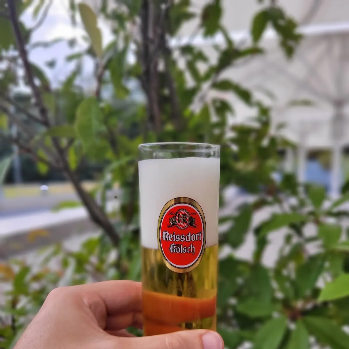 Kölsch