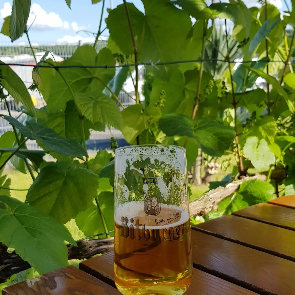 Bitburger Pils