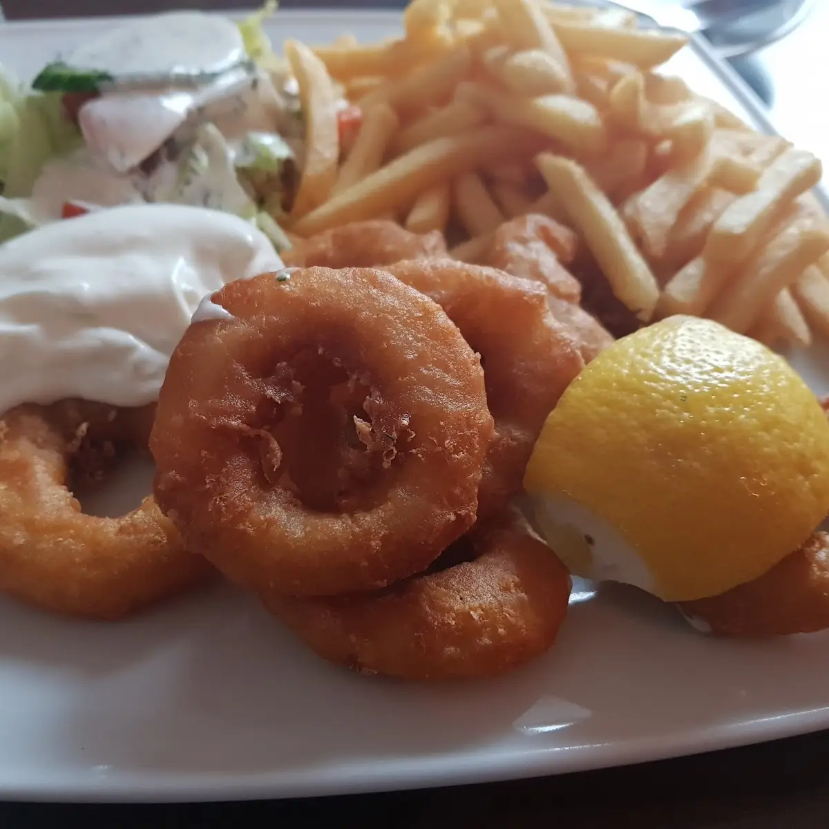 Tintenfischringe