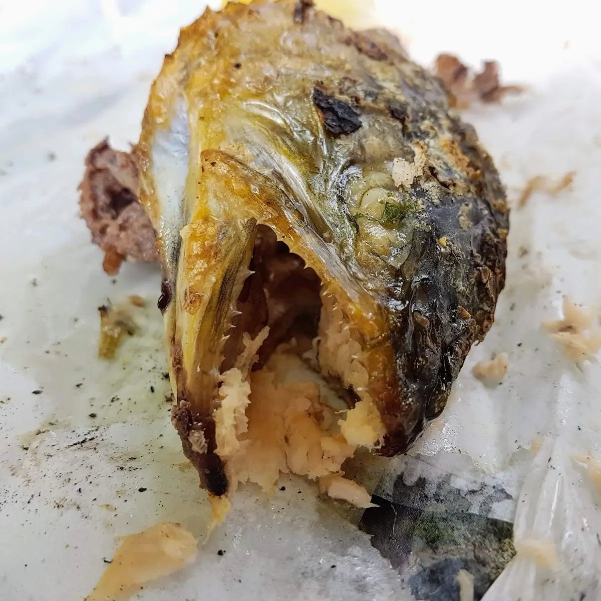 Fisch