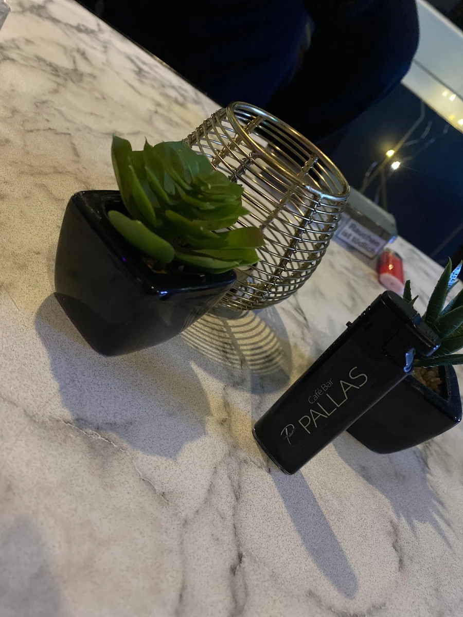 Highlights, Cafe - Bistro Pallas