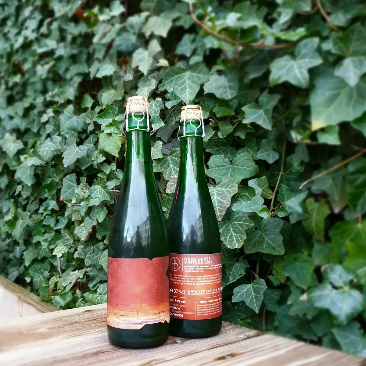 Raspberry Lambic, MUTED HORN