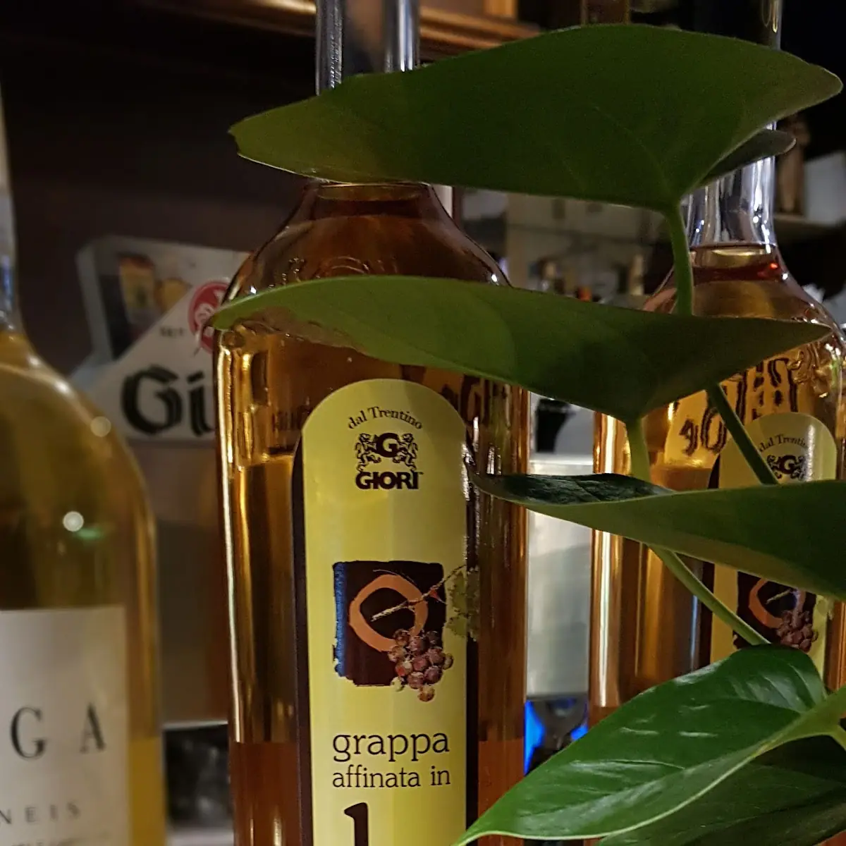 Grappa