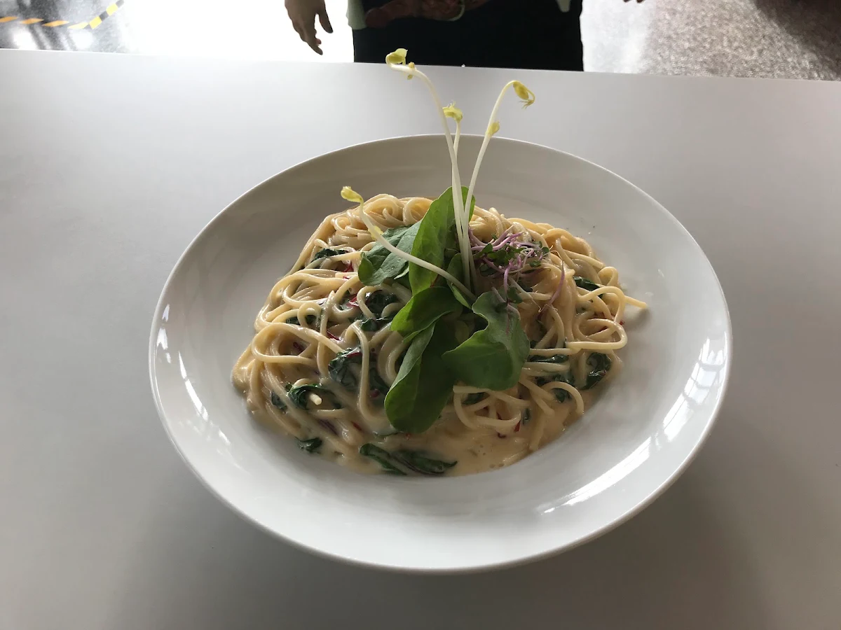 Highlights, Café Evergreen