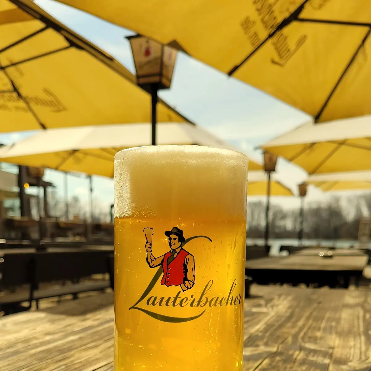 Bier