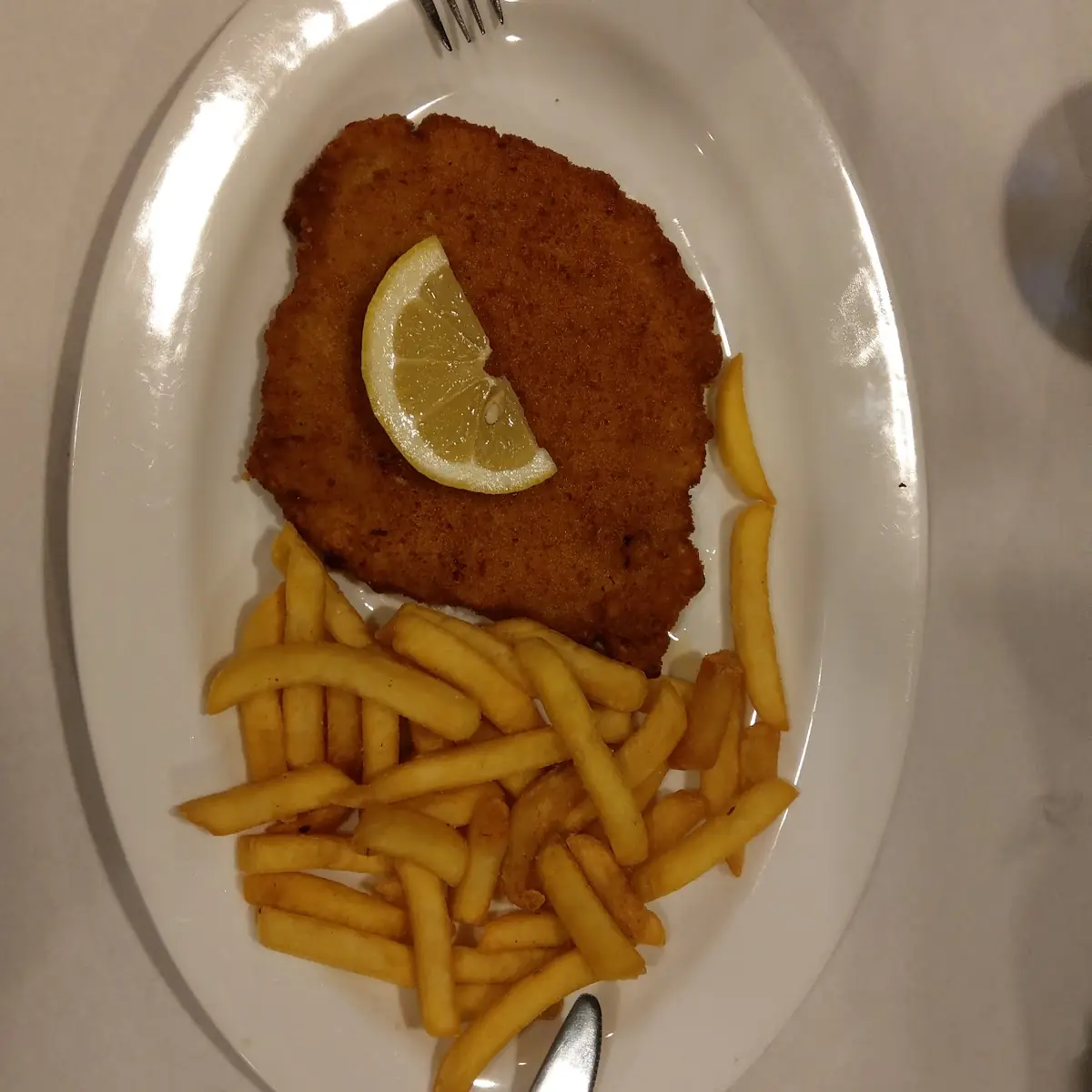 Fish