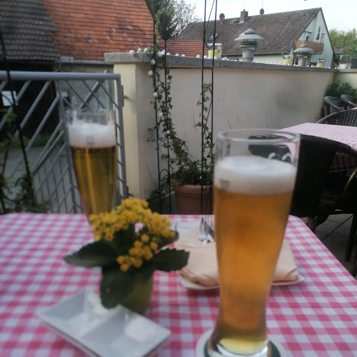 Bier