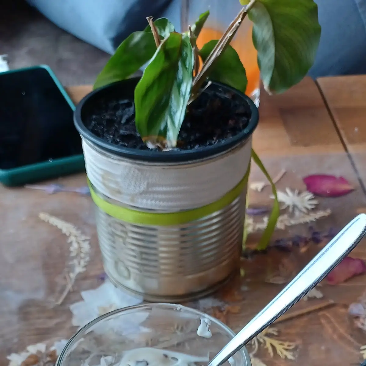 Stracciatella, W5-Bürgerhaus mit W5-Café und Bistro