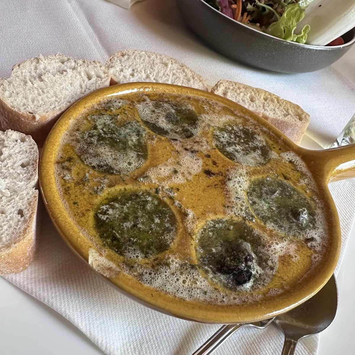Schnecken