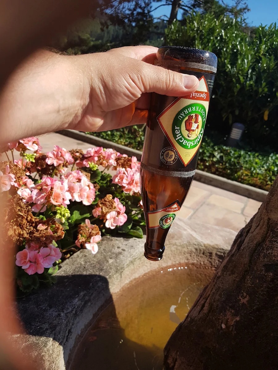 Bier