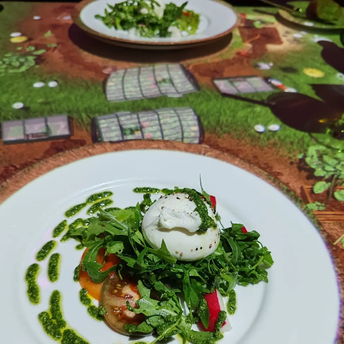 Salat, Le Petit Chef - Hamburg