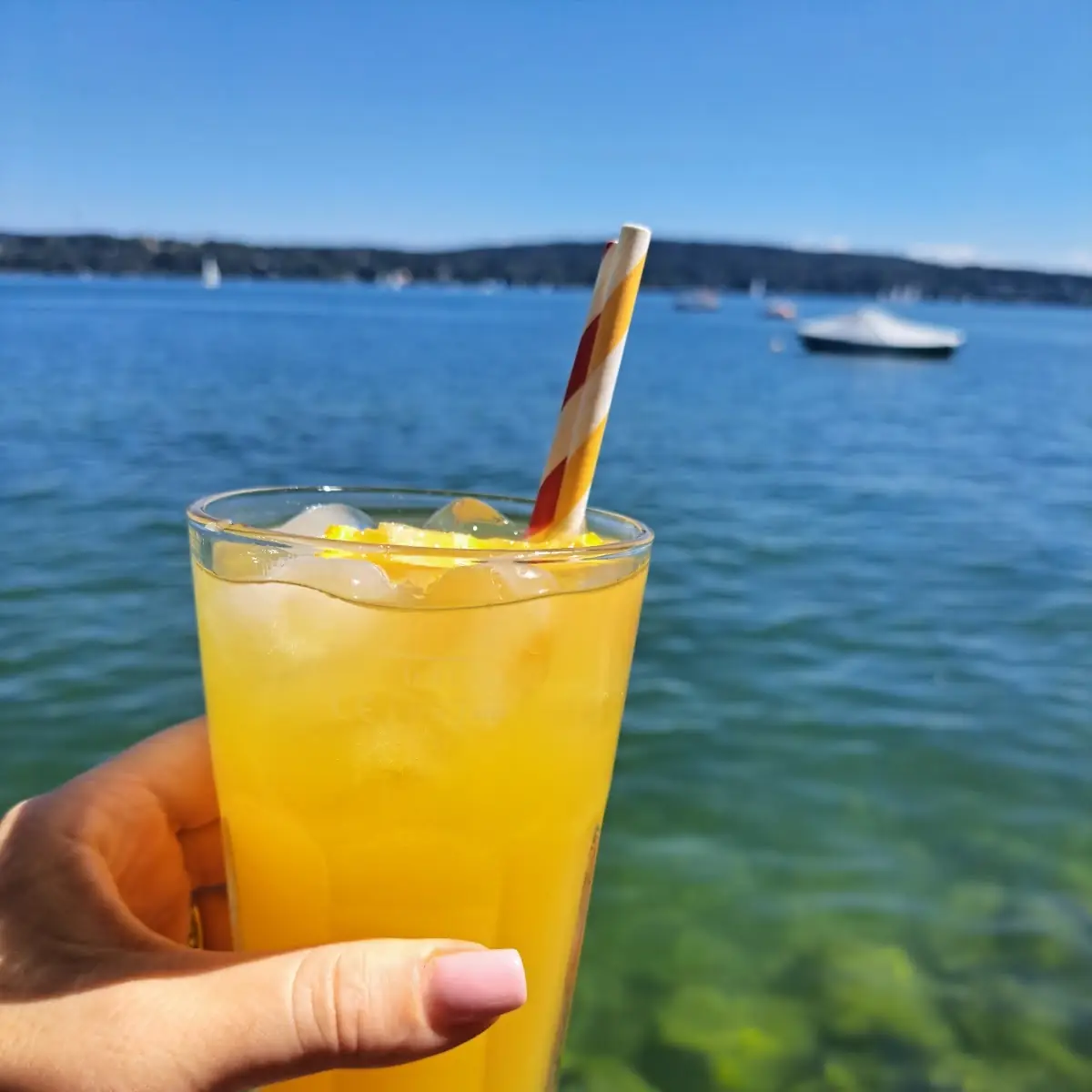 Saft, Seebar Starnberg