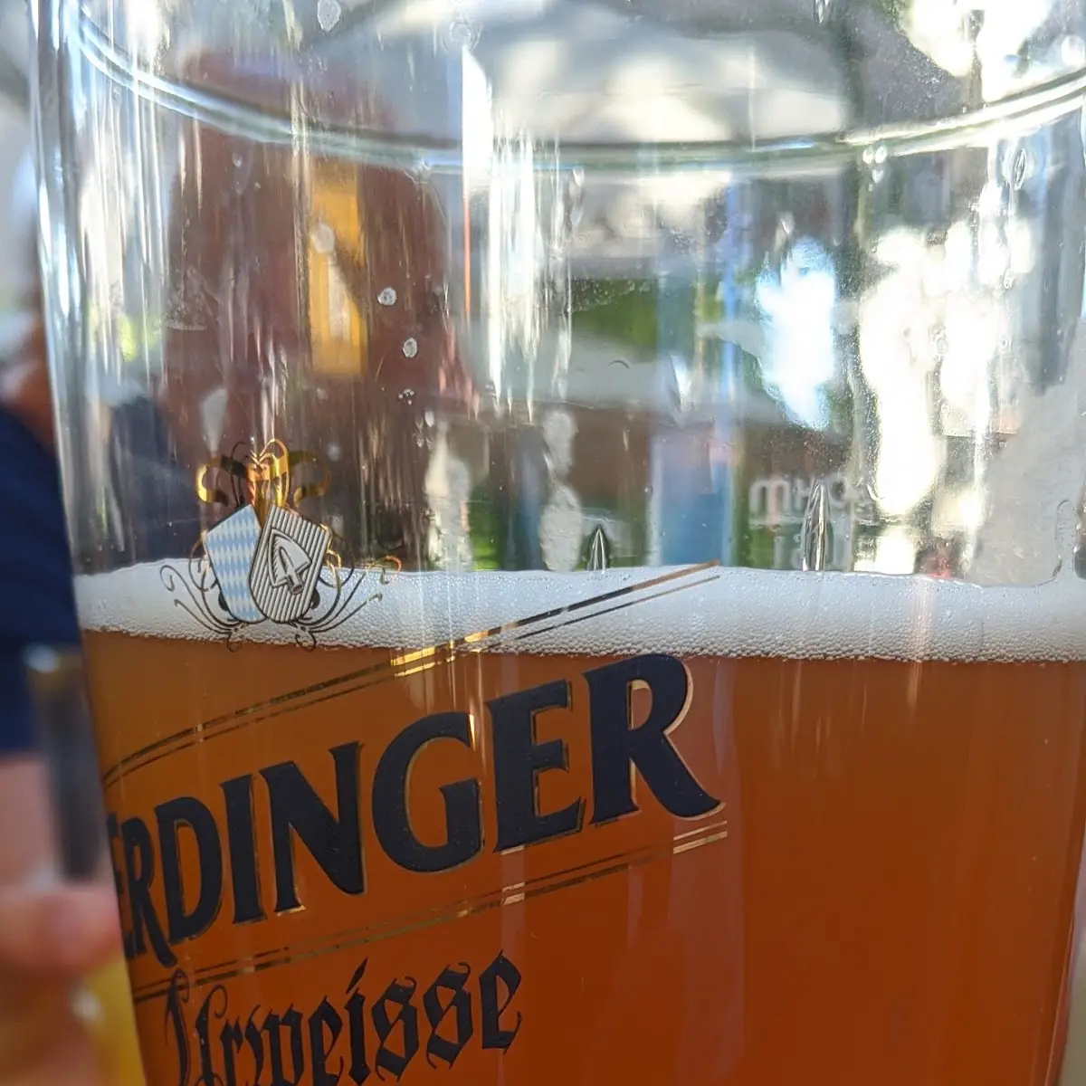 Bier