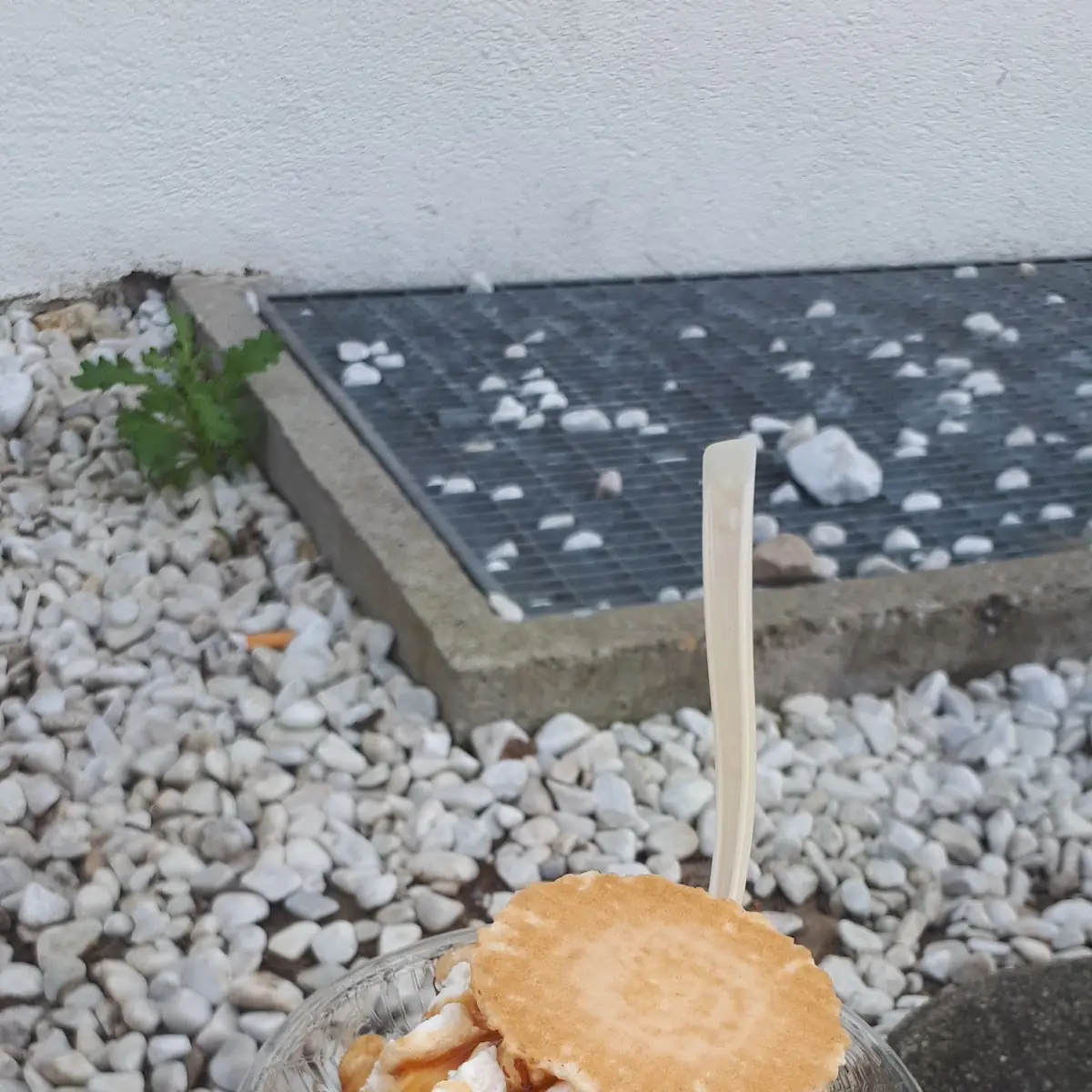 Nussbecher