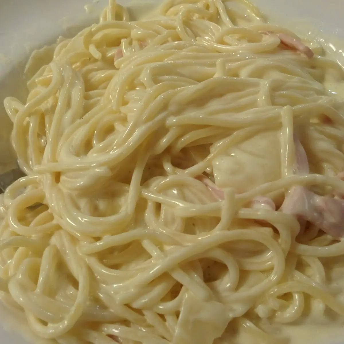 Parmesan