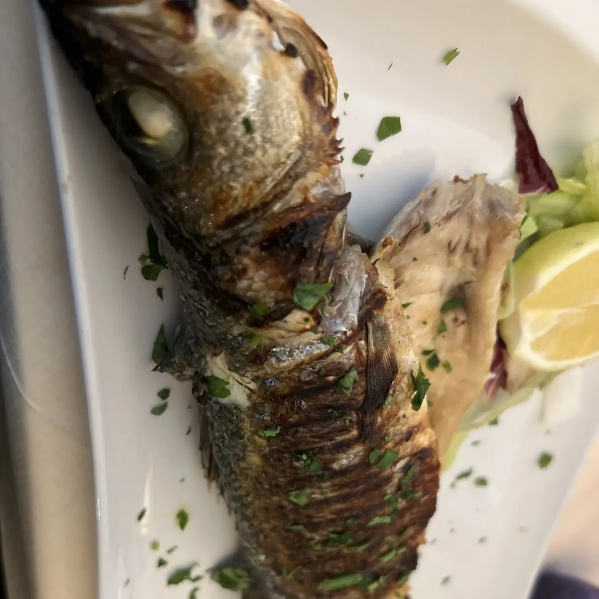 Mackerel