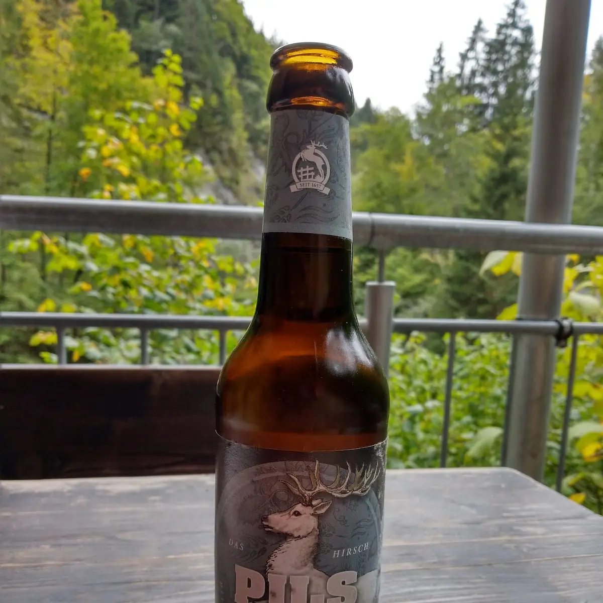 Bier